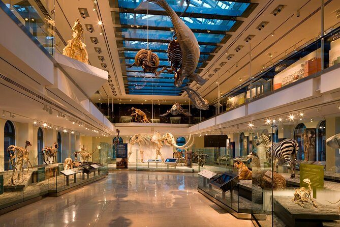 Natural History Museum of Los Angeles County Admission - Final Thoughts