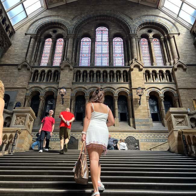 Natural Museum: Diplodocus to Blue Whale Wonders - The Sum Up