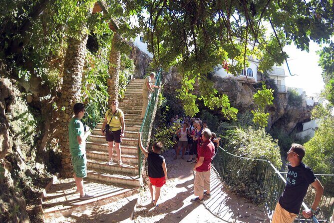 Natural Parck Jeep Eco Tour from Costa del Sol - Dive Into the Details: What You Can Expect