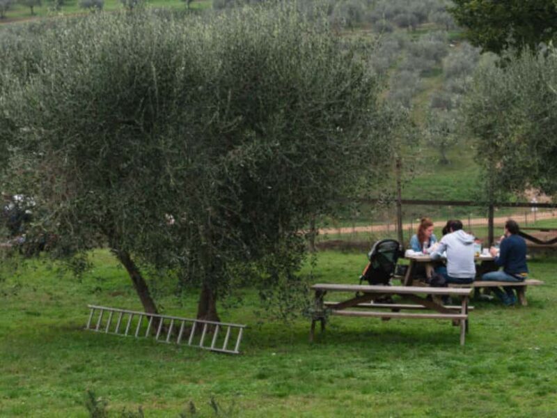 Natural Park and Picnic Experience near Florence - The Sum Up