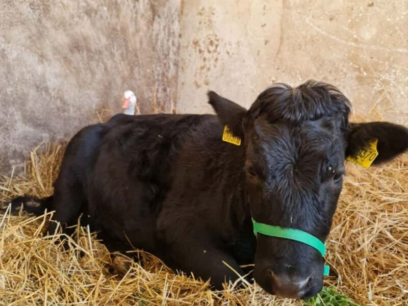 Natural Park and Picnic Experience near Florence - FAQs