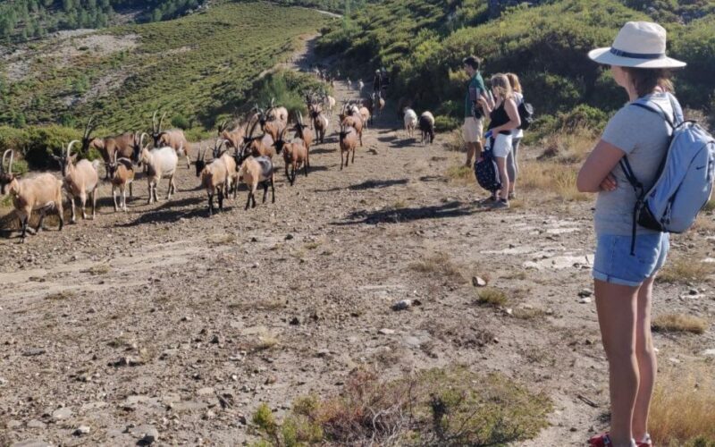 NATURAL PARK OF ALVÃO - FISGAS ERMELO WATERFALLS - What Could Be Improved