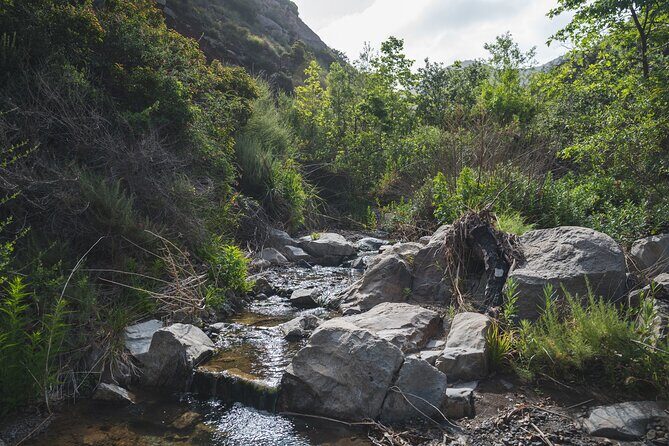 Nature Adventure with Private Transport to Waterfall and more! - Who Will Love This Tour?