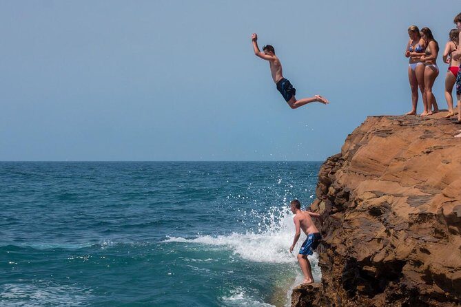 Nature and Wildlife: Australia in One Day - Private Tour - Final Thoughts