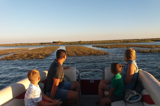 Nature Catamaran Tour from Faro - What to Expect from the Ria Formosa Catamaran Tour