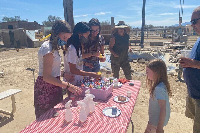 Nature Health Farms Alpaca Farm Petting Zoo Pahrump Death Valley - What to Expect at Nature Health Farms Alpaca Farm & Petting Zoo