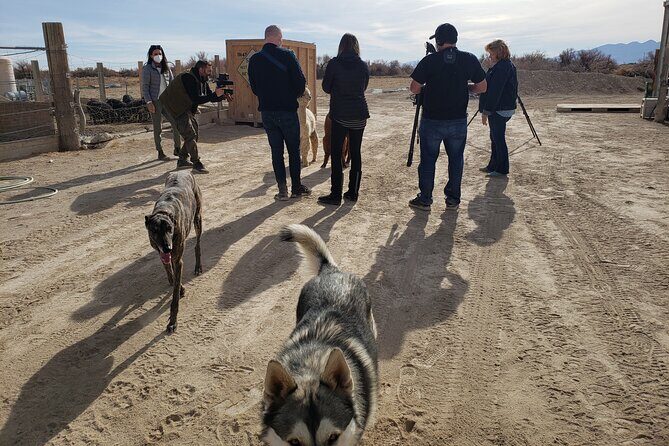 Nature Health Farms Alpaca Farm Petting Zoo Pahrump Death Valley - The Itinerary in Detail