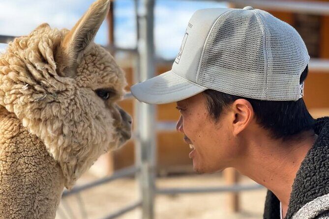 Nature Health Farms Alpaca Farm Petting Zoo Pahrump Death Valley - Final Thoughts: Is It Worth It?