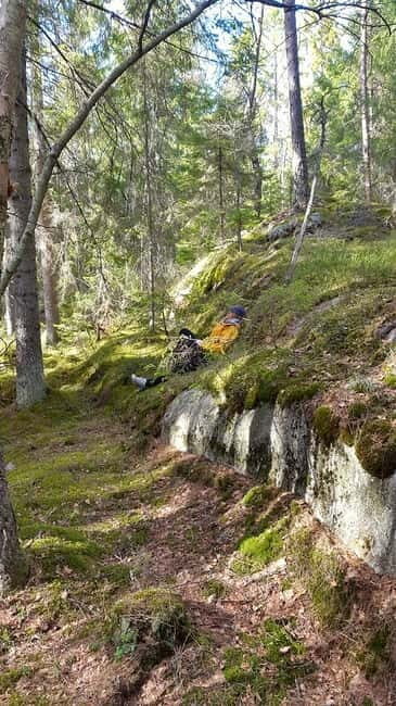 Nature Hike from Stockholm - What to Expect from the Stockholm Nature Hike