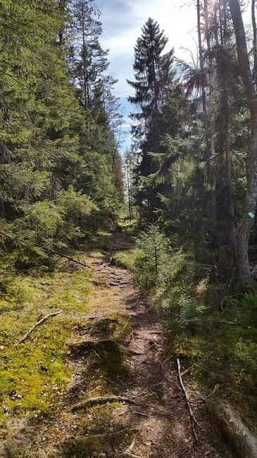 Nature Hike from Stockholm - Who Is This Experience Best For?