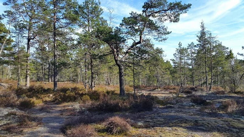 Nature Hike from Stockholm - FAQ