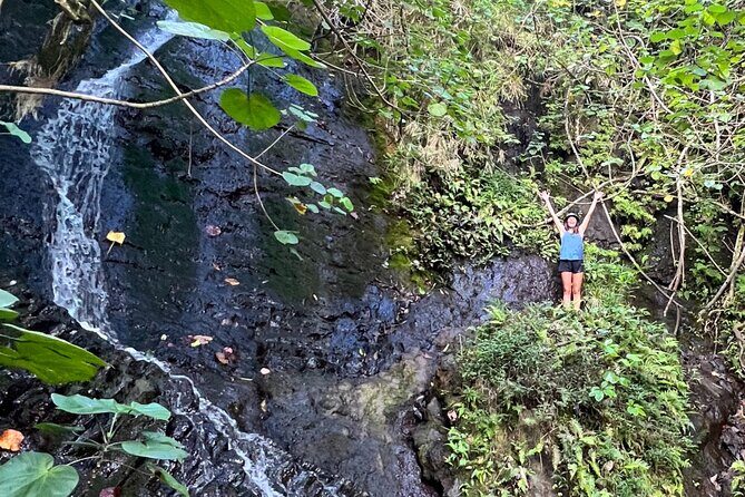 Nature Hike to Waterfall - What Makes This Tour Stand Out?
