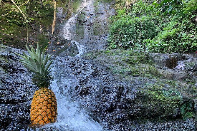 Nature Hike to Waterfall - FAQs