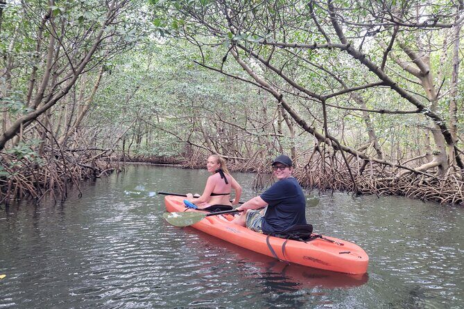 Nature & Island Exploration on SUP/Kayak - Final Thoughts: Who Is This Tour Perfect For?