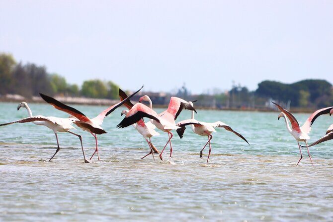 Nature Kayak Tour: Exploring Europes Largest Lagoon - Final Thoughts
