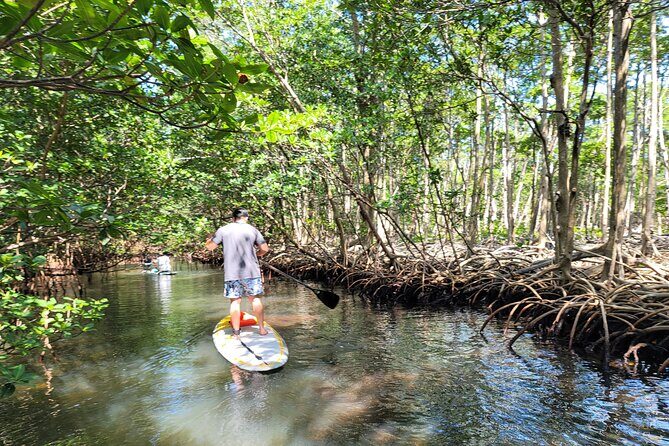 Nature Stand Up Paddle Boarding Experience in Miami - What to Expect on the Paddleboard Tour
