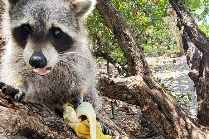 Nature Stand Up Paddle Boarding Experience in Miami - Who Will Love This Tour?