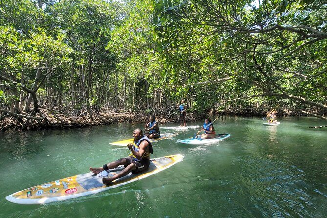 Nature Stand Up Paddle Boarding Experience in Miami - FAQs