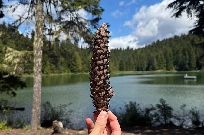 Nature Walk - The Value of the Experience