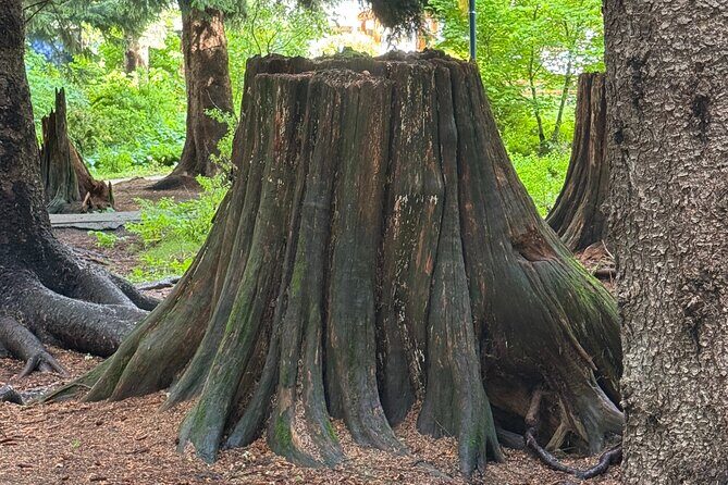 Nature Walk - Final Thoughts