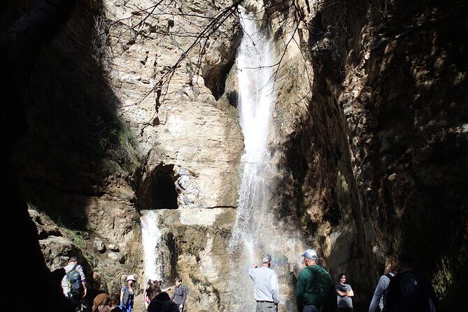 Nature Walk/Hike Tour near Disneyland: ID plants & wildlife - Analyzing the Tour Itinerary: What to Expect