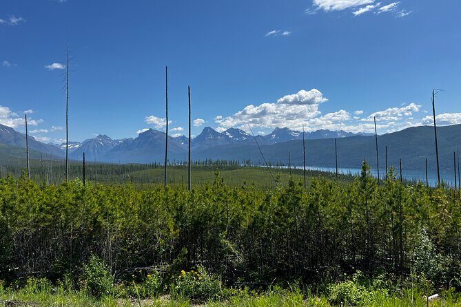 Nature Walk in Glacier National Park - The Value of the Tour