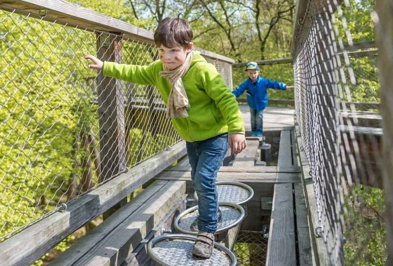 Naturerbe Zentrum Rügen & Treetop Walk Experience - A Closer Look at the Experience