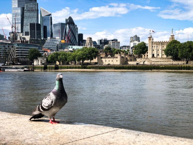 Naughty London: Unsavoury History Walking Tour - What to Expect from the Naughty London Tour