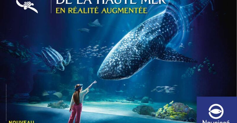 Nausicaá National Sea Center: Full-Day Entry Ticket - The Reviews Say It All