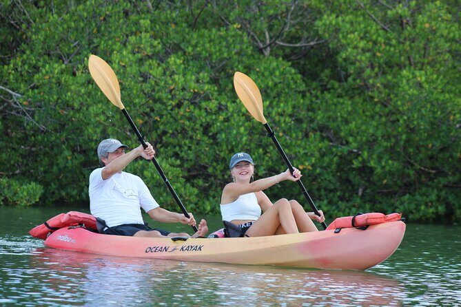 Nauti Exposures - Guided kayak tour through the Mangroves - Discovering the Naples Mangroves: A Guided Kayak Tour Review