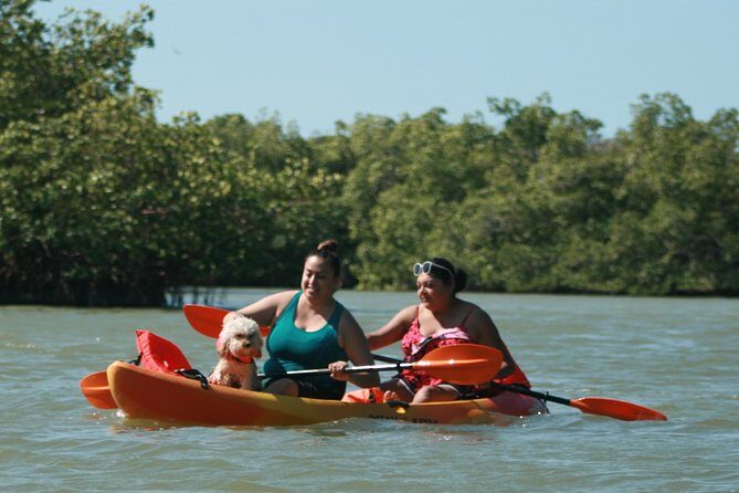 Nauti Exposures - Guided kayak tour through the Mangroves - What the Tour Excursion Looks Like