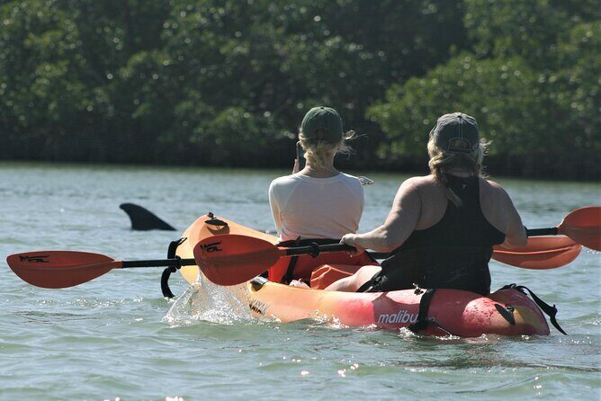 Nauti Exposures - Guided kayak tour through the Mangroves - Who Is This Tour Best For?