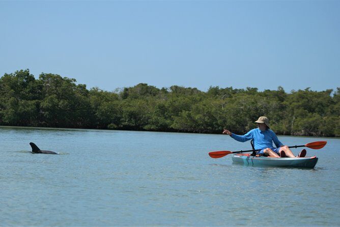Nauti Exposures - Kayak rental Naples, FL - How This Tour Stands Out