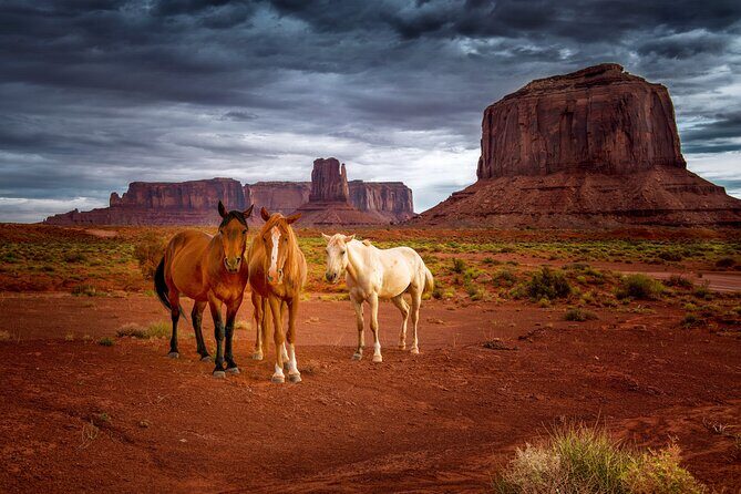 Navajo Tribal Park Monument Valley Self-Guided Driving Tour - FAQ