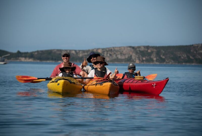 Navarino Bay: Sea Kayaking with Lunch - What’s Included and What’s Not