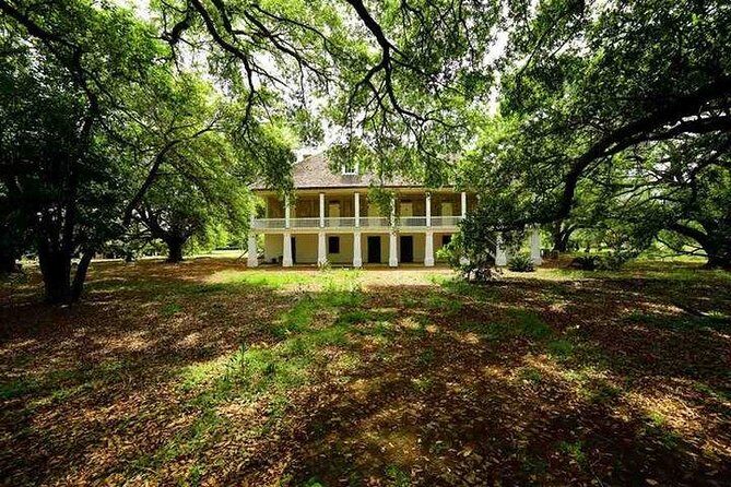 Nawlins Luxury: Laura, Oak Alley or Whitney Plantation Tour w/Transportation - A Deep Dive into the Experience