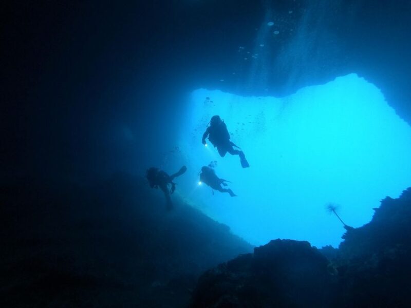 Naxos: Discover Scuba Dive with Nima Dive Center - Key Points