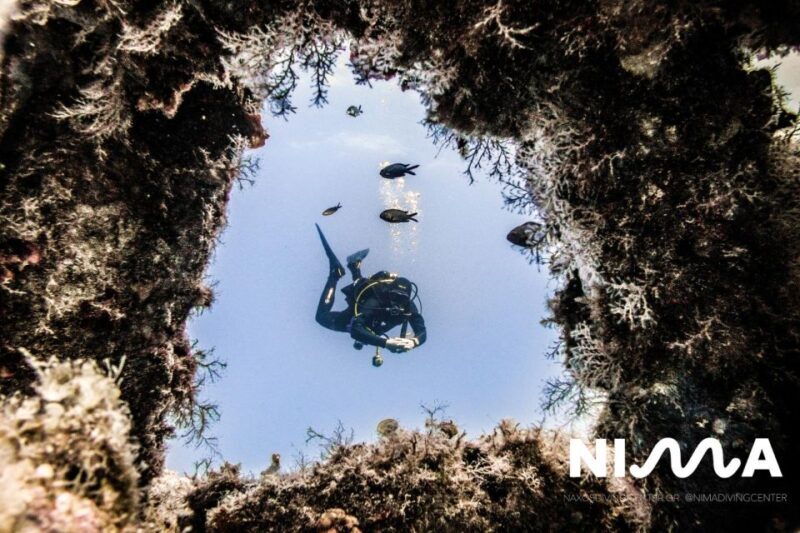 Naxos: Discover Scuba Dive with Nima Dive Center - Why the Photos Matter