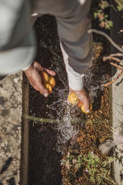 Naxos: Family Farm-table Cooking, Kouros Tour & Live Music - Practical Details and Considerations