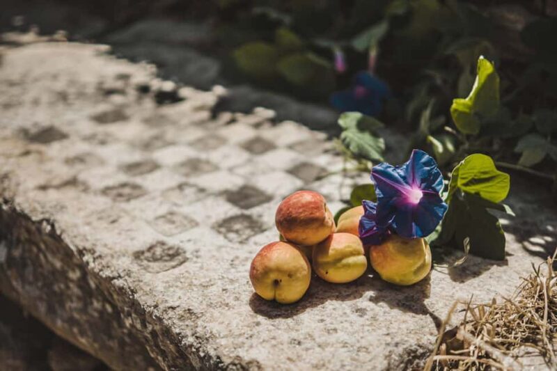 Naxos: Family Farm-table Cooking, Kouros Tour & Live Music - Who Will Love This Tour?