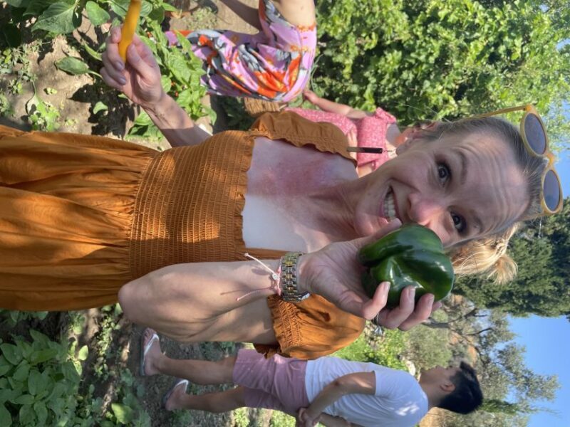 Naxos: Half-Day Cooking Class at Basiliko Family Tavern - The Setting and Atmosphere