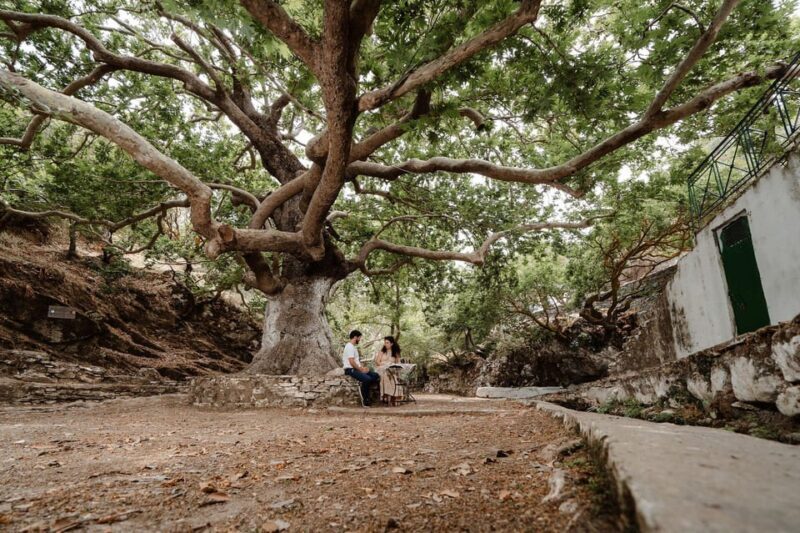 Naxos: Heritage & Flavors Tour with Cheese-Making - Price and Value