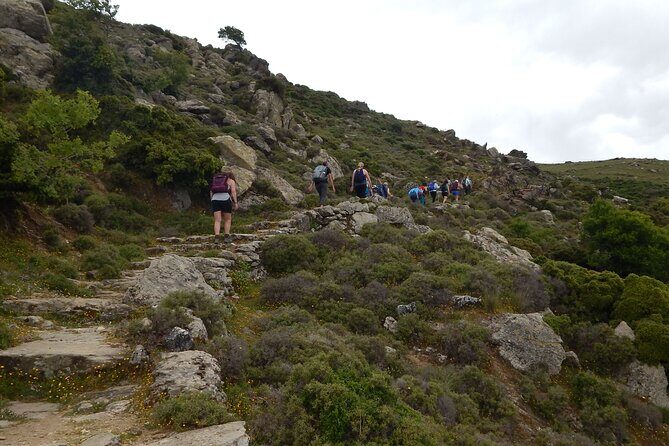 Naxos: Hike to the Top of the Cyclades - Mount Zas - What to Expect from This Naxos Mount Zas Hike