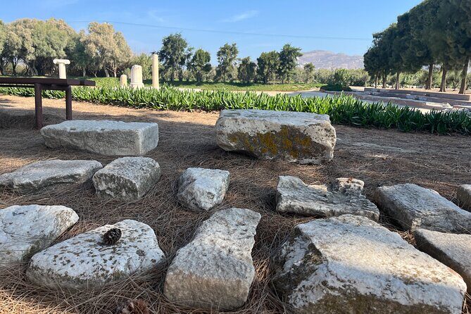 Naxos Mythology & Ancient Sites Tour with Tastings & Wine - The Guides & Group Size