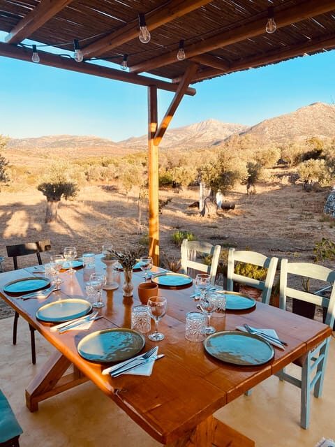 Naxos : Private BBQ night in the olive grove - Who Is This Experience For?