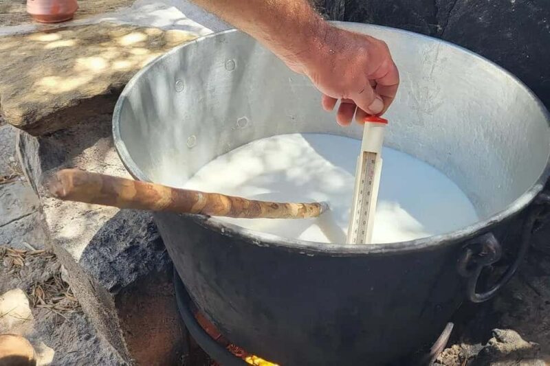 Naxos Private Cheese and Wine 6 Hour Experience - Key Points