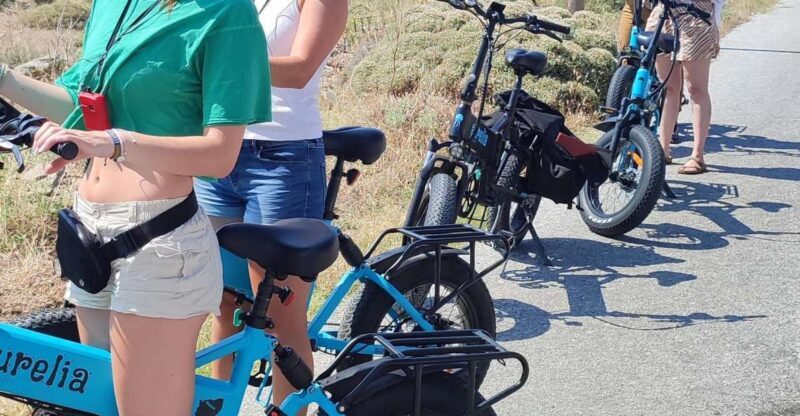 Naxos: Private E-Bike Tour with Farm Lunch - Who Will Love This Tour?