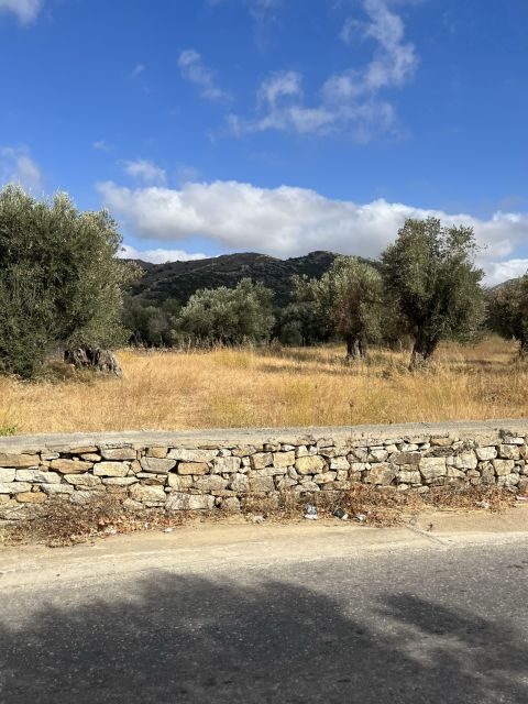 Naxos: Private E-Bike Tour with Wine Tasting Inland Methexis - Final Thoughts
