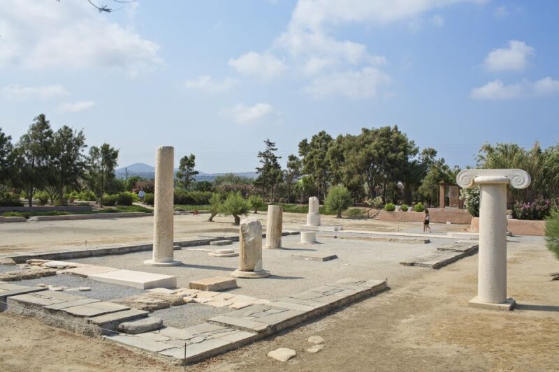 Naxos: Private Minibus Rental with an Experienced Driver - Why Consider a Private Minibus Rental in Naxos?