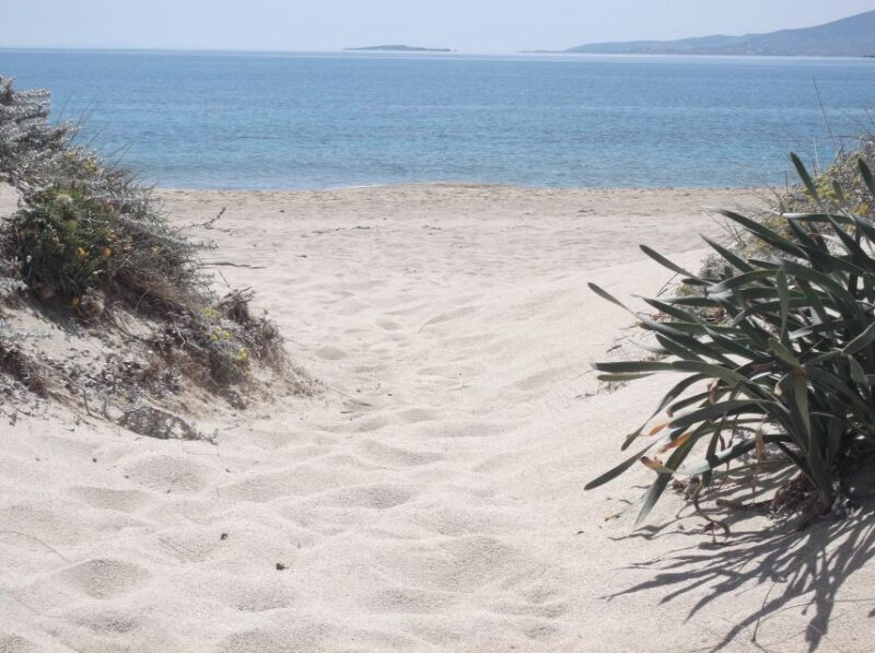 Naxos: Private Minibus Rental with an Experienced Driver - How the Experience Feels in Practice